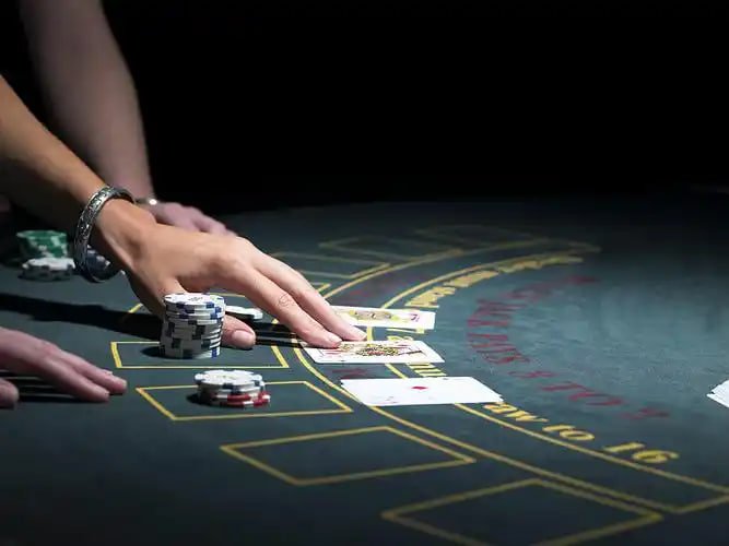 winbwin ဂိမ်းအမျိုးအစားများ — Live Casino နှင့် Sportsbook